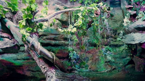 Water cascading down a rocky cliff past weaver nests Stock Footage 203954652