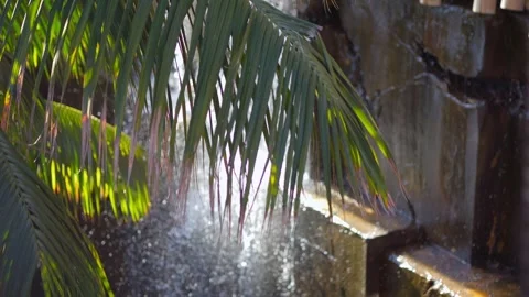 Water cascading down a stone wall with palm leaves in the foreground, captu.. Stock Footage 286012951