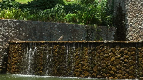Water cascading down textured stone wall into serene pond in lush Stock Footage 276180198