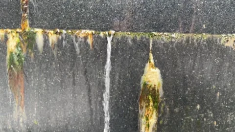 Water cascading down textured wall with rippling patterns Stock Footage 314708443