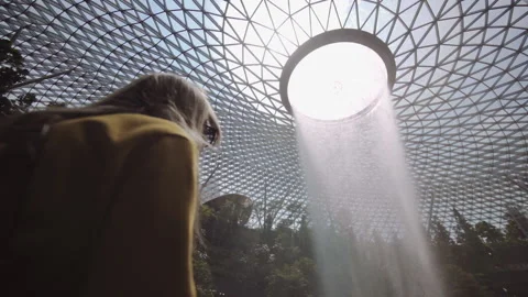 Water Cascading From Glass Ceiling In Cloud Forest 스톡 동영상 143630159