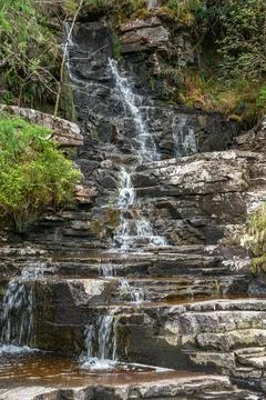 Water cascading over flat rocks in forest Stock Photos