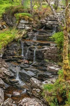 Water cascading over flat rocks in forest Stock Photos
