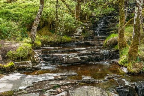 Water cascading over flat rocks in forest Stock Photos