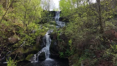 Water Cascading Over Moss-covered Rocks Vídeo Stock 335926832
