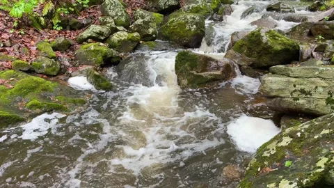 Water Cascading Over Moss Covered Rocks in New Jersey Forest Stream Stock Footage 340566717