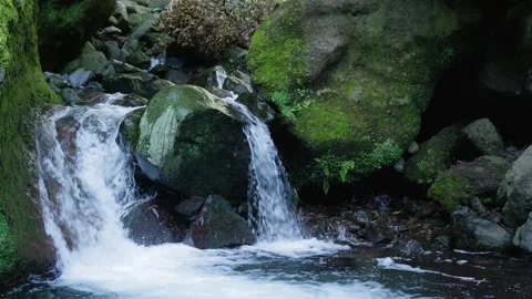 Water cascading over mossy rocks in a forest stream Stockbeeldmateriaal 333696033