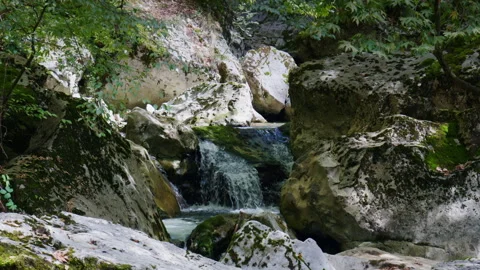Water Cascading Over Mossy Rocks in a Shaded Forest Stream 스톡 동영상 334124155