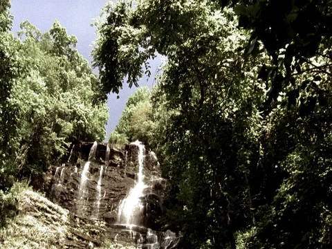 Water cascading over rock framed by green leafy trees. Stock Footage 86750760