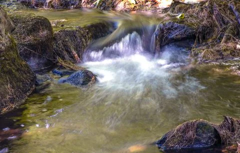 Water cascading  in a small stream in new england Foto stock