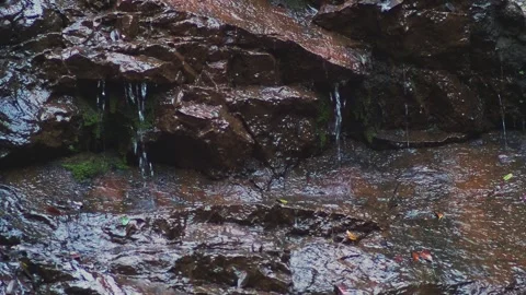 Water Cascading Through Jagged Rocks Natural Loop 動画素材 333661475