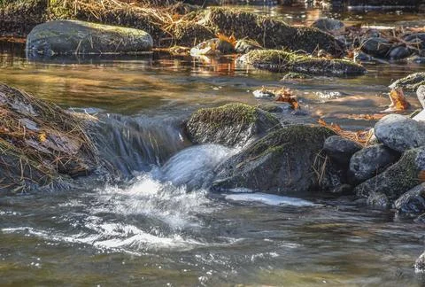 Water cascading  in willard brook 스톡 사진