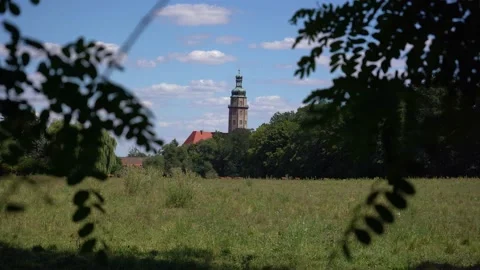 Water castle with trees in the front Video stock 203570737