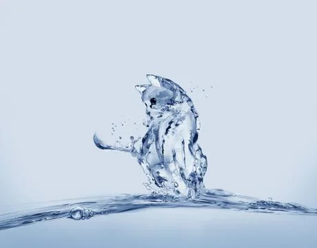 Water Cat Illustrazione stock