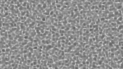 Water Caustics 4K Stock Footage 244393851