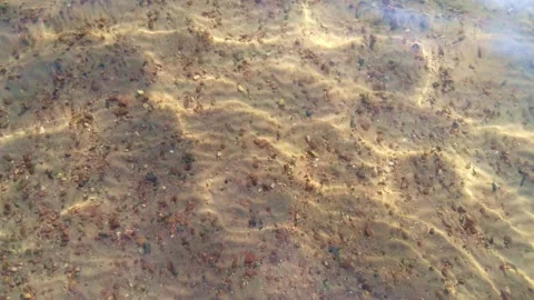 Water caustics Stock Footage 157513180