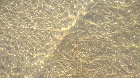 Water caustics on shallow sandy bottom Stock Footage 41497209