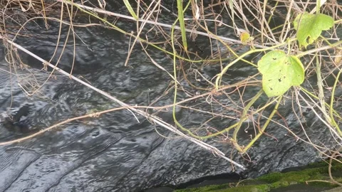 Water in the channel flows Stock Footage 311683016