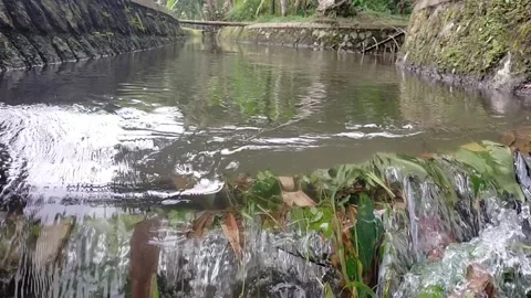 Water channel Video stock 218073203