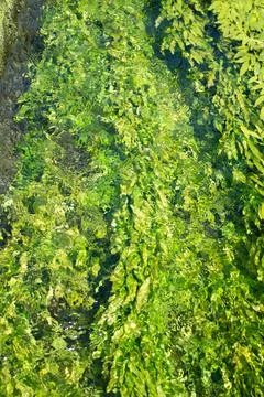 Water channel Stock Photos