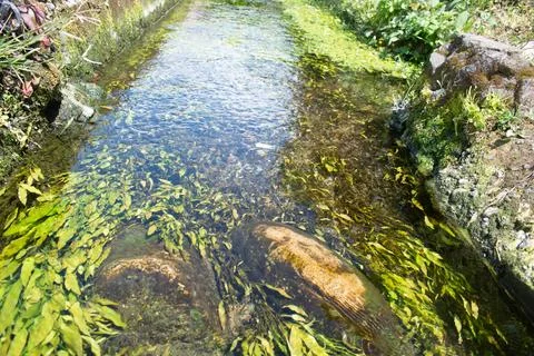 Water channel Stock Photos