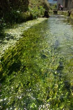 Water channel Stock Photos
