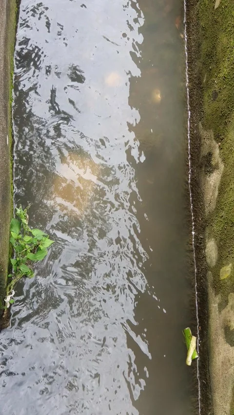 Water channel on the side of the road Stock Footage 311871792
