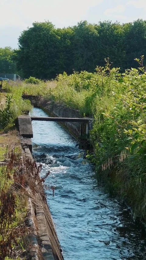 Water Channel for Watering Fields Flowing Through Greenery in Countryside Stock Footage 313982047