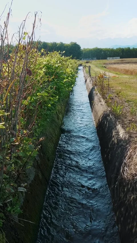 Water Channel for Watering Fields Flowing Through Greenery in Countryside Stock-Footage 314109389