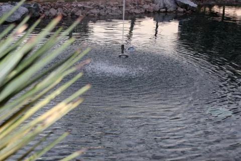 Water circles Foto stock
