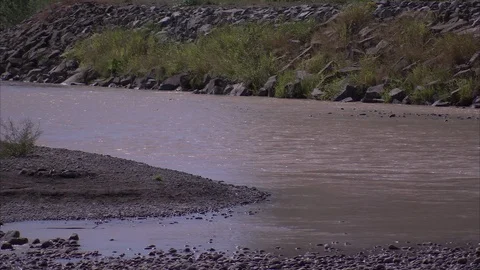 Water Circulating at Bend in Puyallup River in Orting, WA Stock Footage 86755352