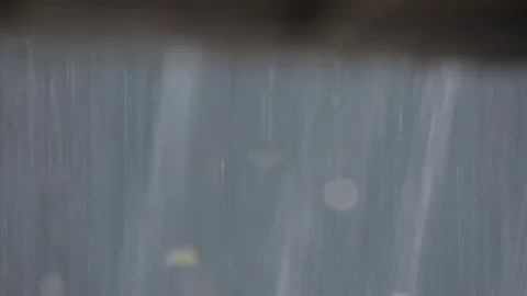 Water in the cleaning machine, static plan Stock Footage 72713212