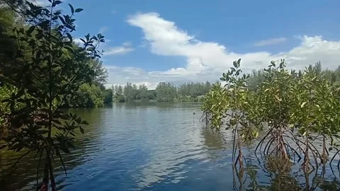Water, clear, clean, beach, lake, river Stock Footage 227226533