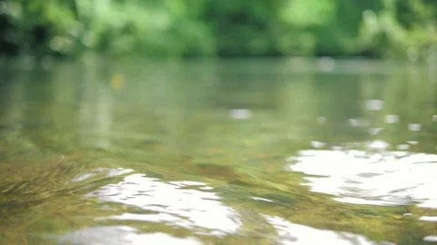 Water clear stream river flowing in the deep forest. Close up, Slow motion Vídeo Stock 158910046