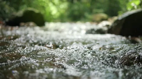 Water clear stream river flowing in the deep forest, Slow motion Stock Footage 159325596