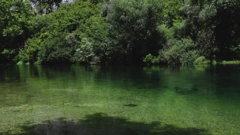 Water clear stream river flowing in the deep forest, Slow motion Stock Footage 246924280