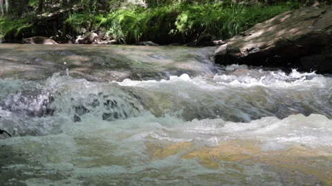 Water Clear Stream River Flowing in Deep Forest. Clear River Running Throug.. Stock-Footage 309887428