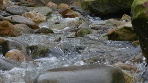 Water clear stream river flowing in deep forest. Wild mountain river flowin.. Stock Footage 336860301