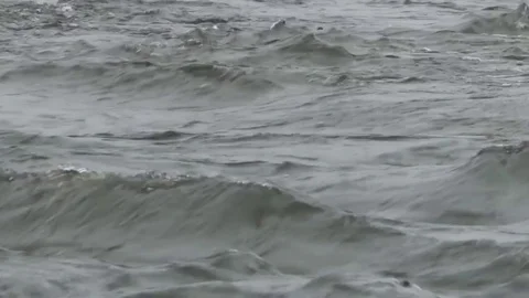 Water close up in the province of Quebec Stock Footage 81456637