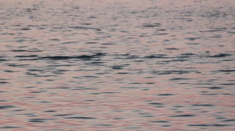 Water closeup at dawn Stock Footage 36753173
