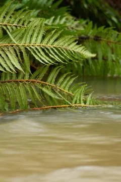 Water Closeup Stock Photos