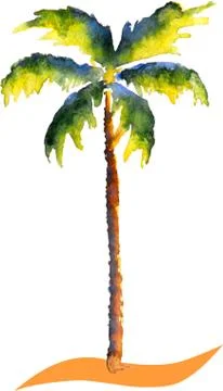 Water color Palm tree vector tropic picture Stock Illustration