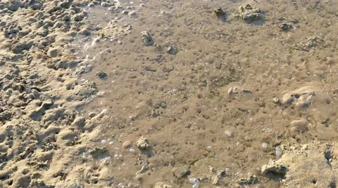 The water comes Stock Footage 52548320