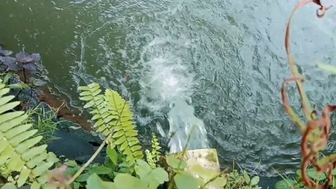 Water comes out of the pipe Stock Footage 224492260