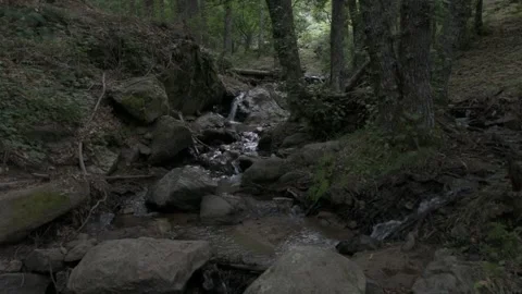 Water coming down from the stream in the forest Stock Footage 135082413