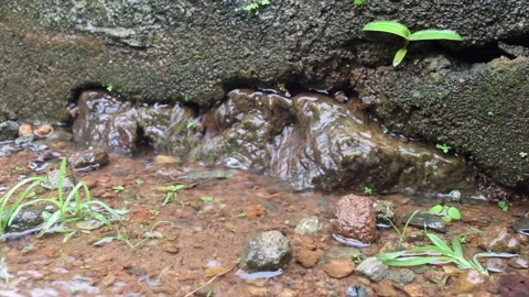 Water coming out of cement wall due to heavy rain. Stock Footage 279624774