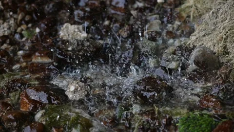 Water coming out of the stone wall "rinnende wand" near molln, upper austria Stockbeeldmateriaal 148778366