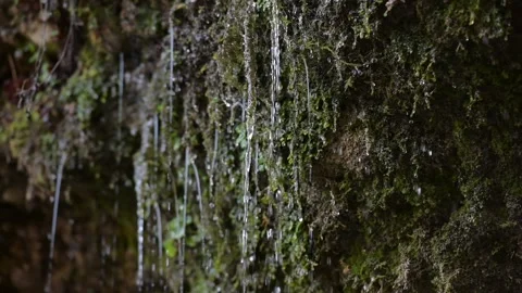 Water coming out of the stone wall "rinnende wand" near molln, upper austria Stockbeeldmateriaal 148778900