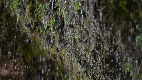 Water coming out of the stone wall "rinnende wand" near molln, upper austria Видео 148778995