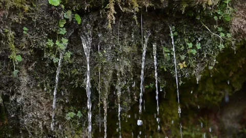 Water coming out of the stone wall "rinnende wand" near molln, upper austria Stock Footage 148779568